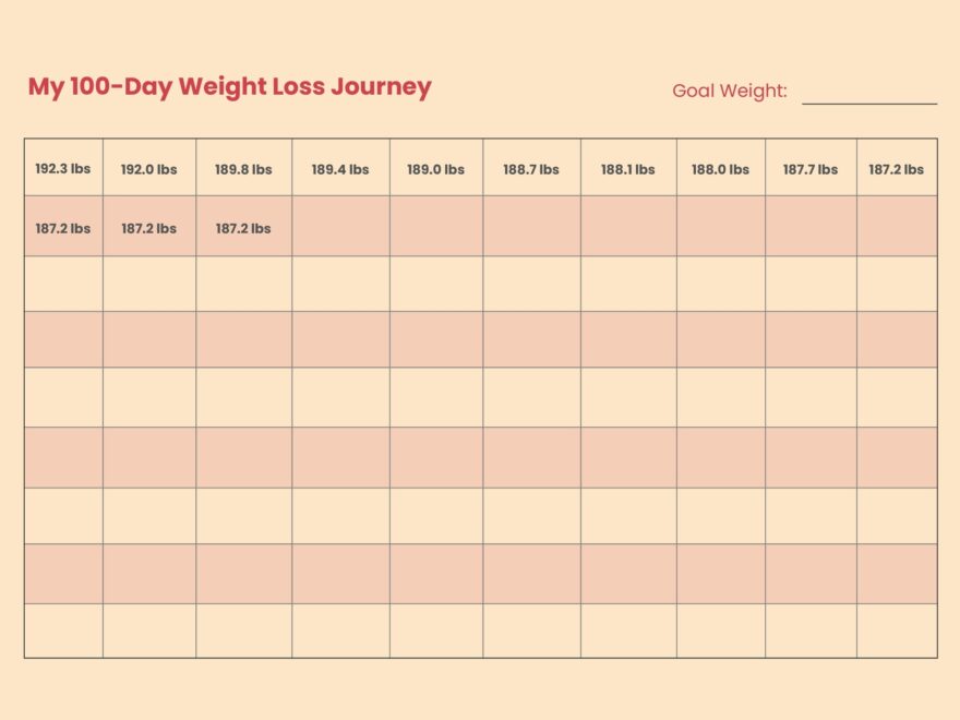 100 Day Weight Loss Chart In Illustrator PDF Download Template