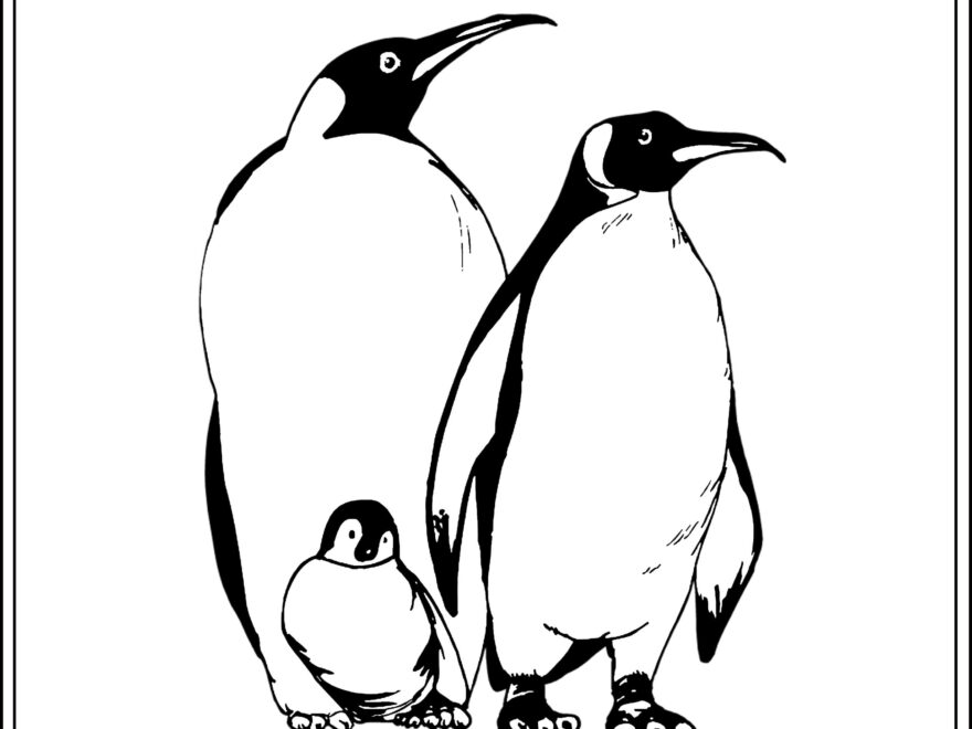17 Best Mr Popper Ideas Mr Popper Mr Penguin Activities