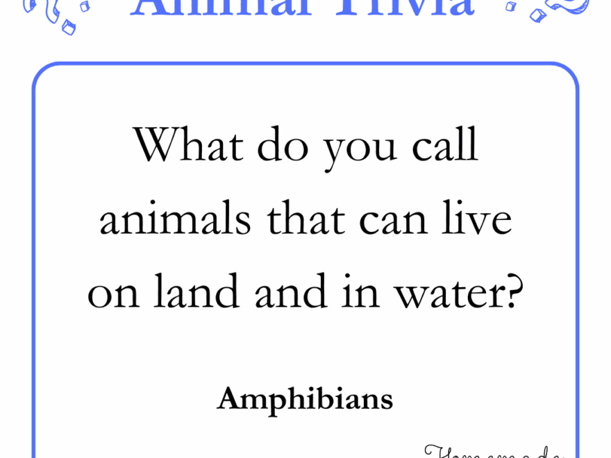 200 Best Trivia Questions Plus Free Printable Trivia Game PDF