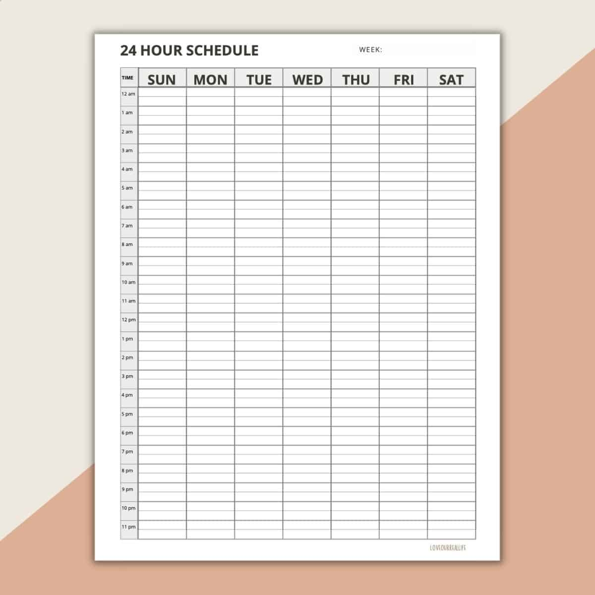Free Printable 24 Hour Schedule