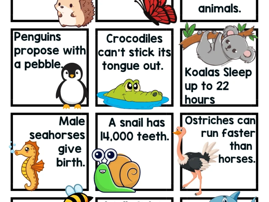 45 Animal Facts For Kids That Are Fun And Fascinating