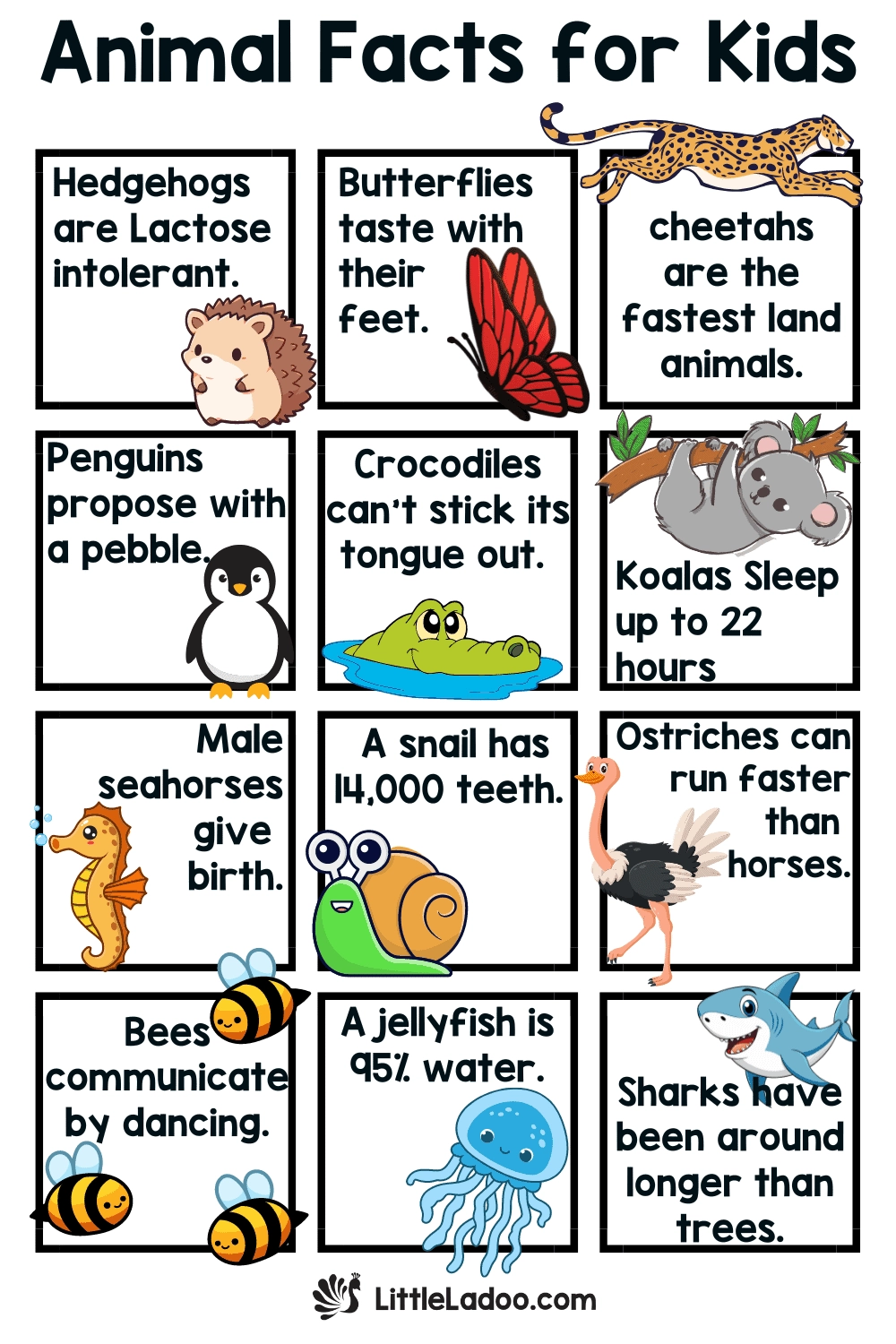 45 Animal Facts For Kids That Are Fun And Fascinating 