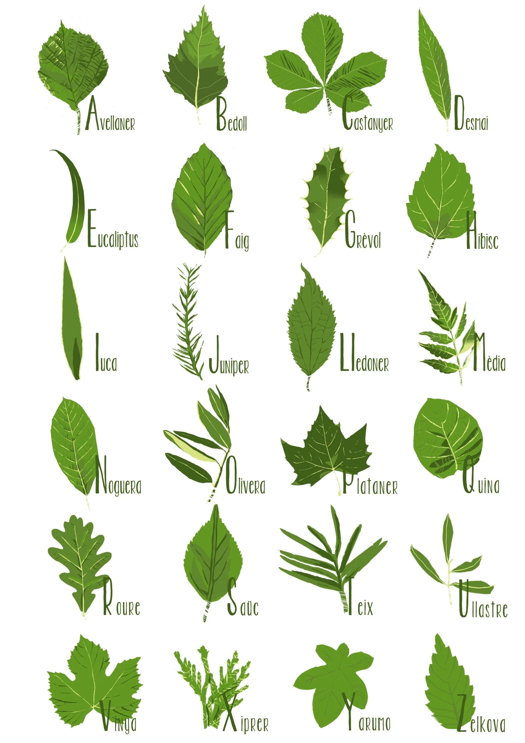 Leaf Shapes Chart Printable