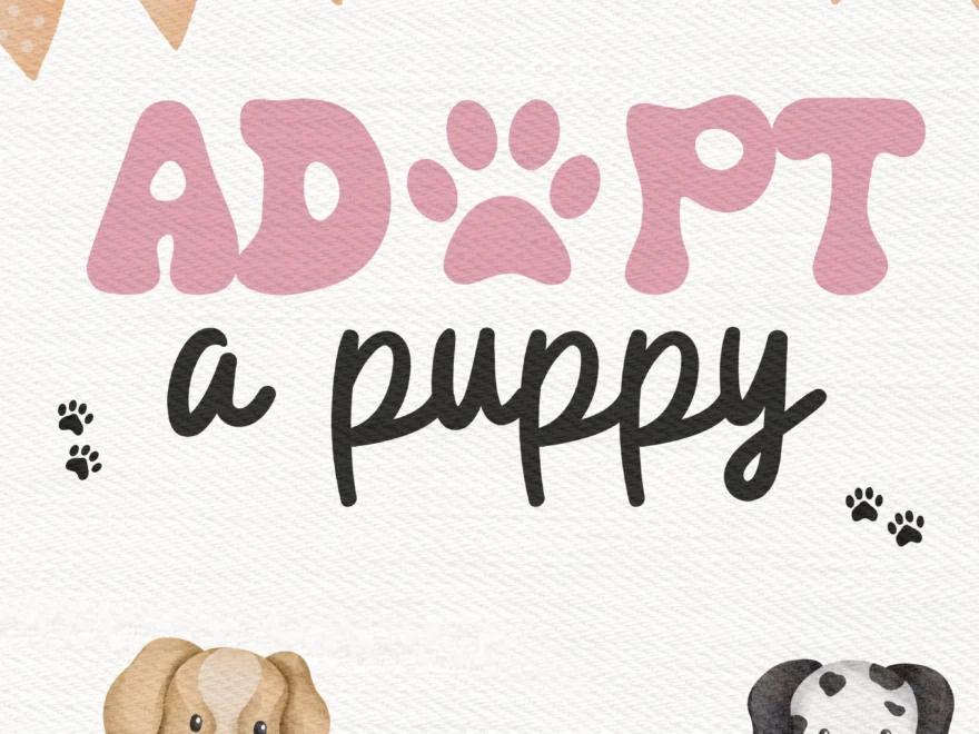 Adopt A Puppy Printable Sign Digital Download Birthday Party Poster Pink Adopt A Puppy Kids Party Poster Instant Download Etsy