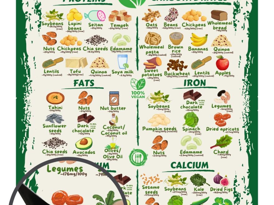 Amazon Vegan Nutrition Sources Chart Magnet A4 Size Print Iron White Rectangular Food Chart For Vegans Home Kitchen