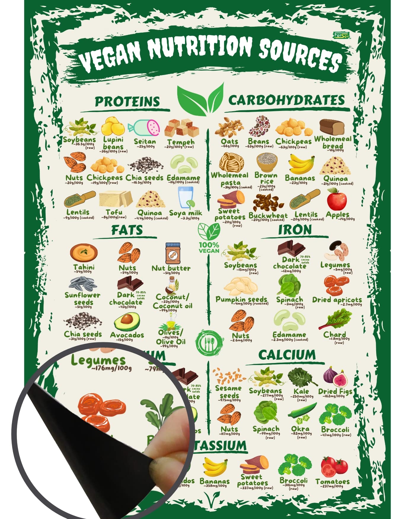 Amazon Vegan Nutrition Sources Chart Magnet A4 Size Print Iron White Rectangular Food Chart For Vegans Home Kitchen