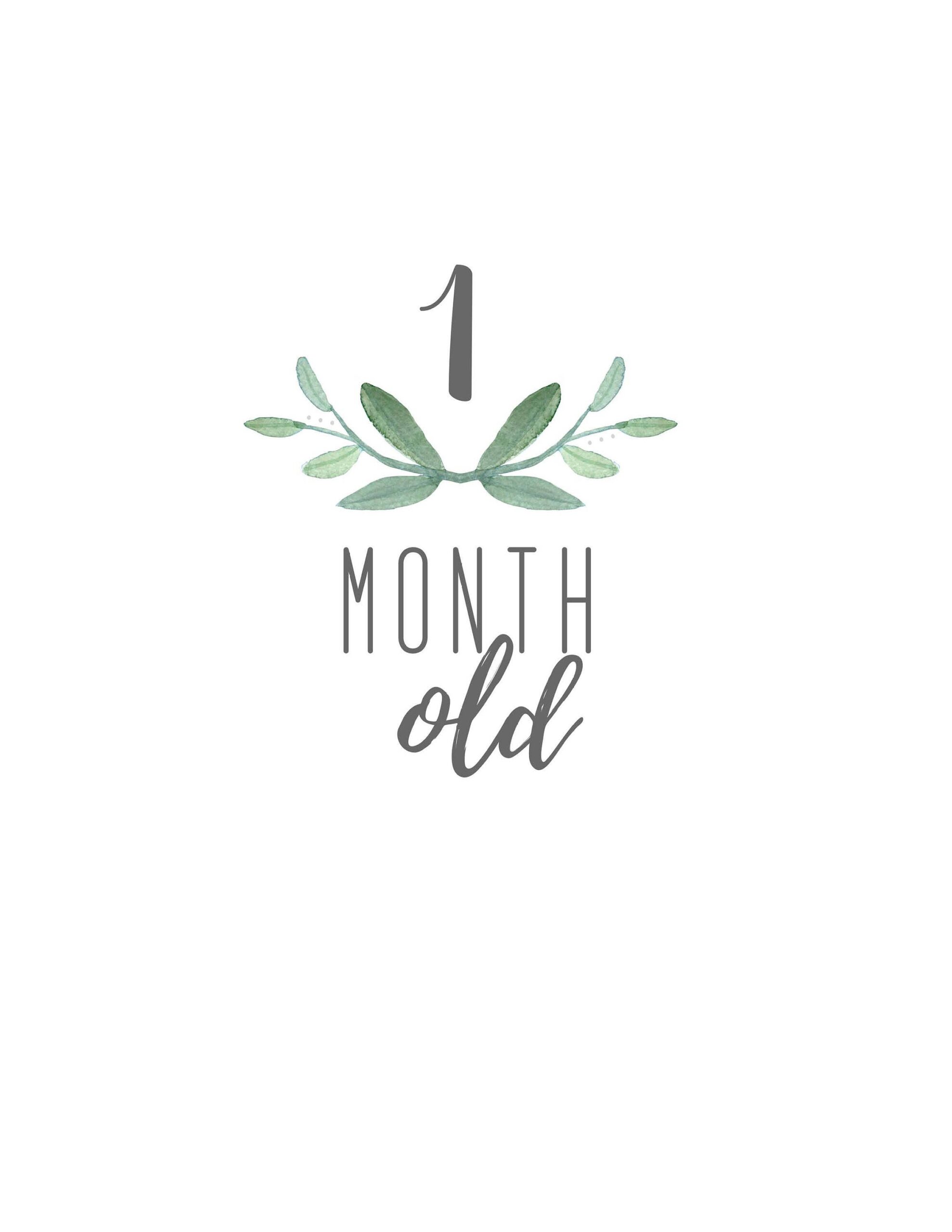 Baby Months Old Printable Set Worksheets Library