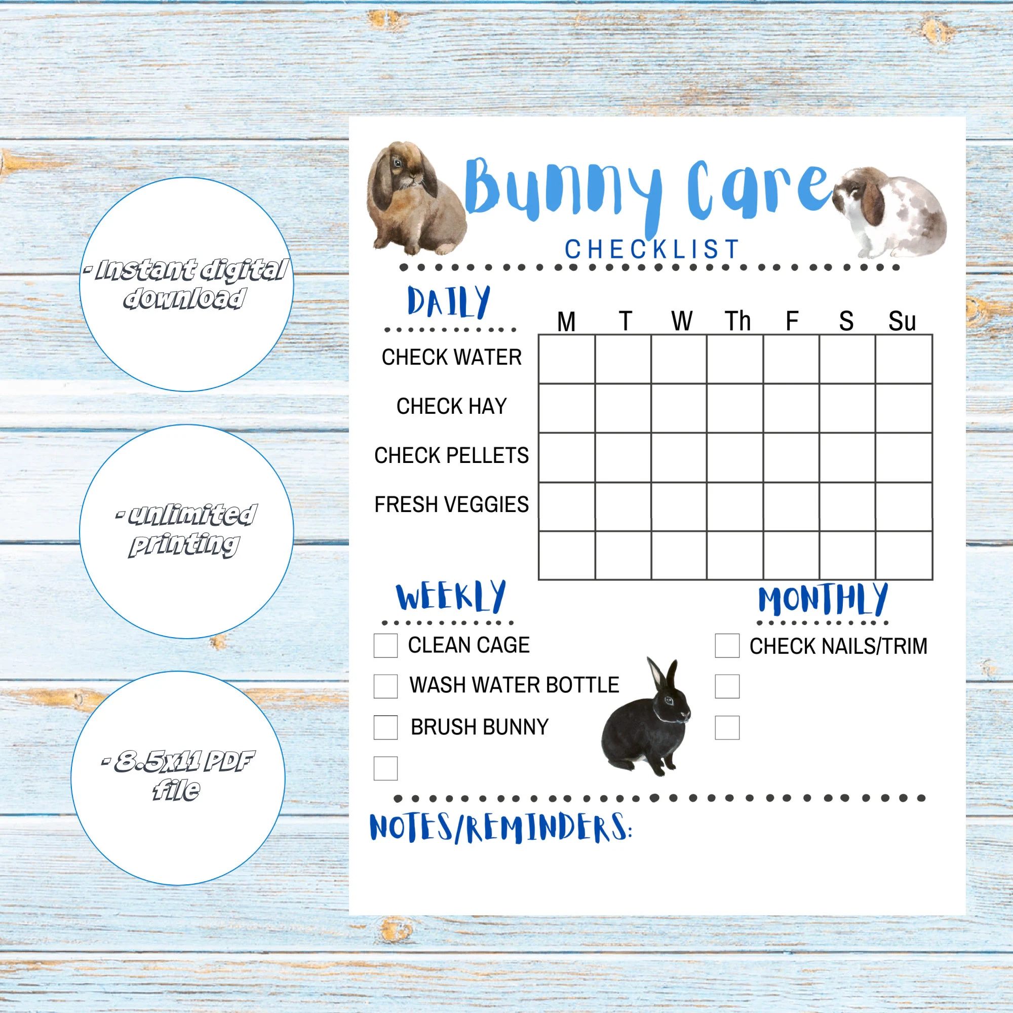 Rabbit Care Sheet Printable