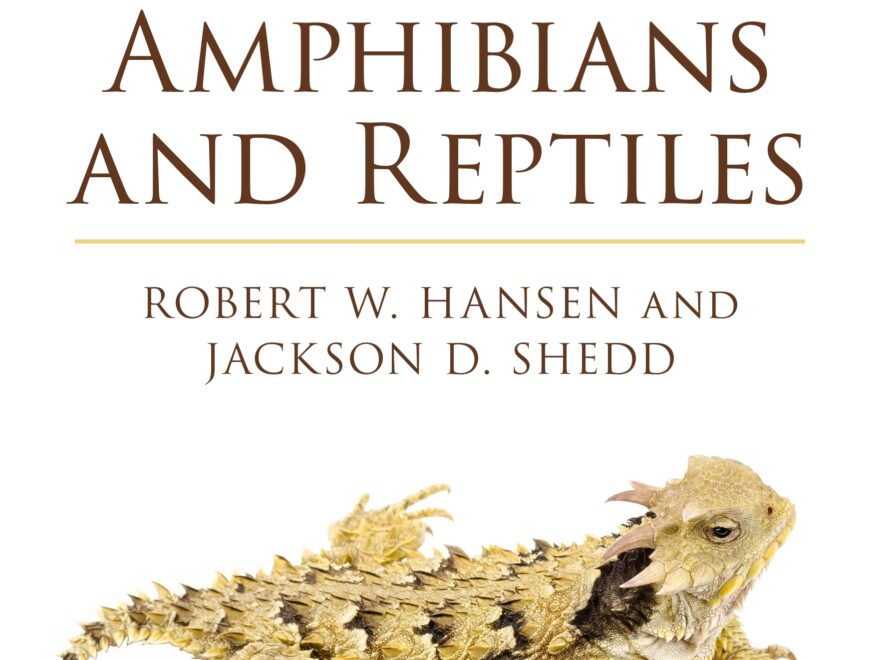 California Amphibians And Reptiles Princeton University Press