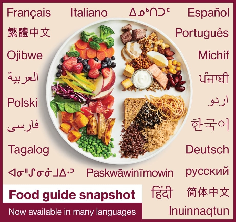Canada s Food Guide