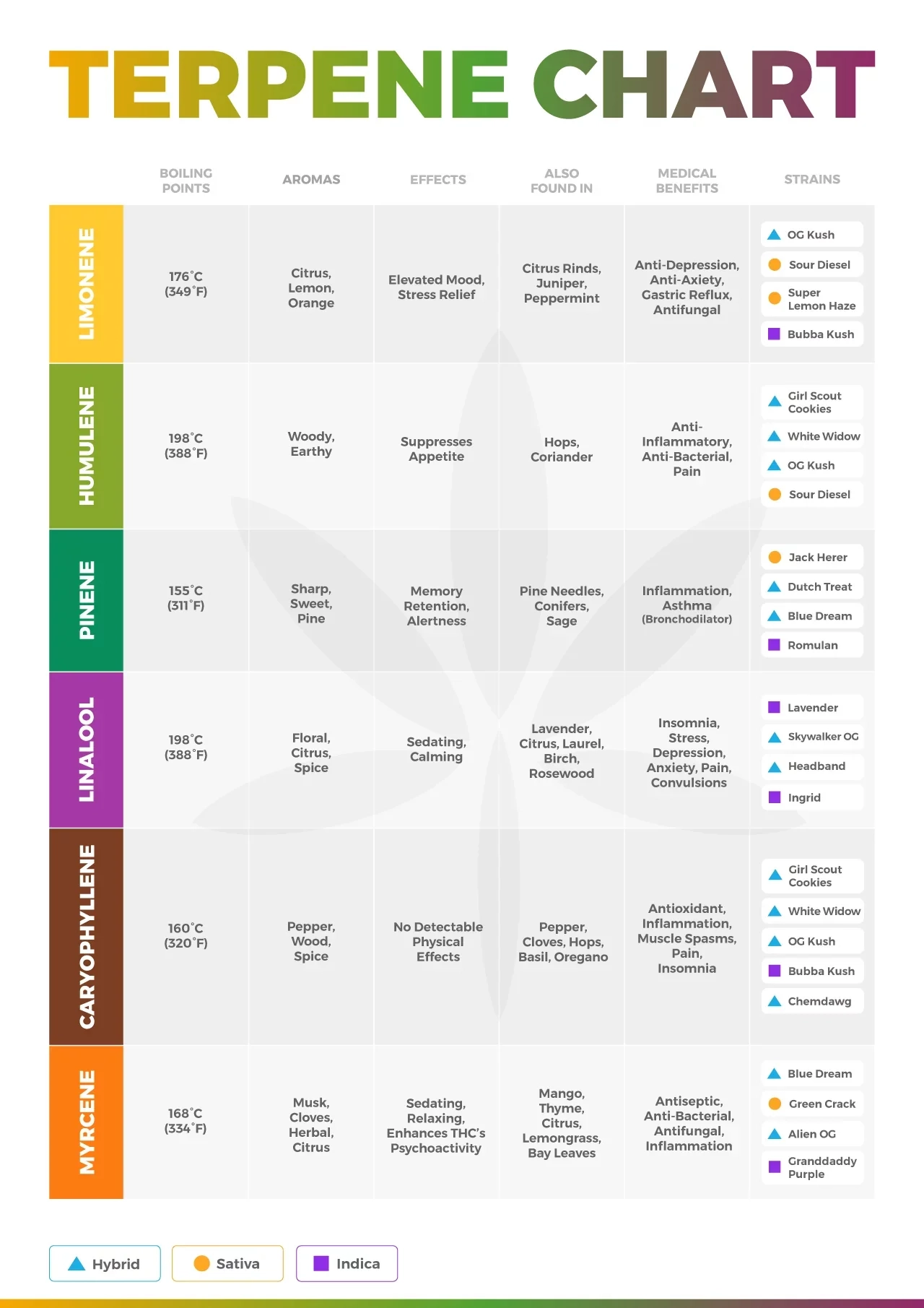 Printable Cannabis Terpene Guide