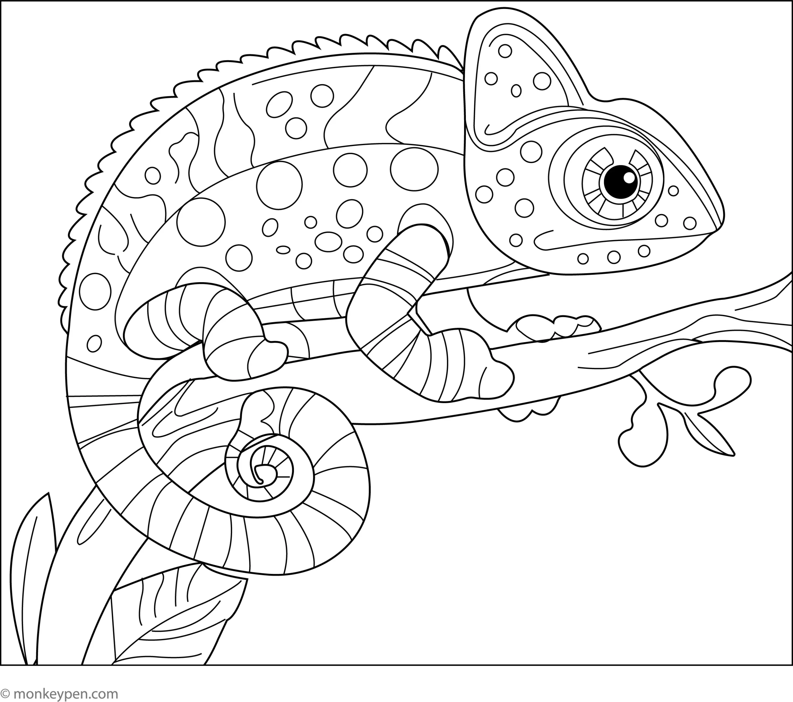 Chameleon Coloring Sheets Free Printable