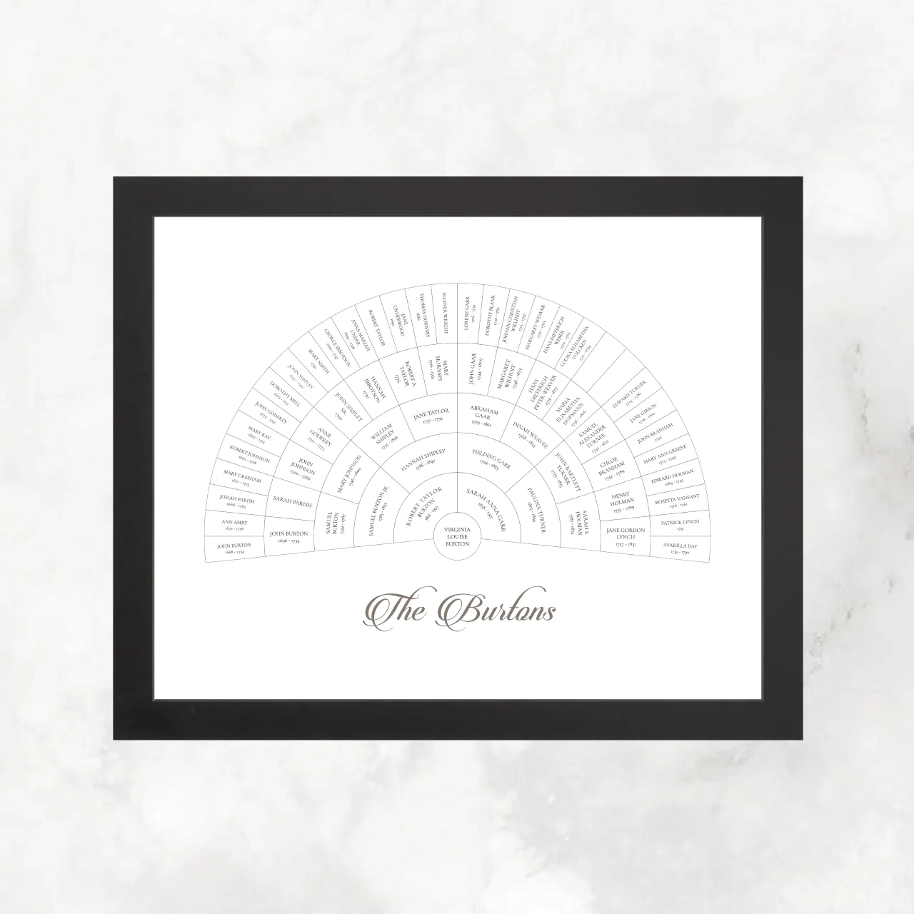Classic White Ancestry Fan Chart Family Tree Chart