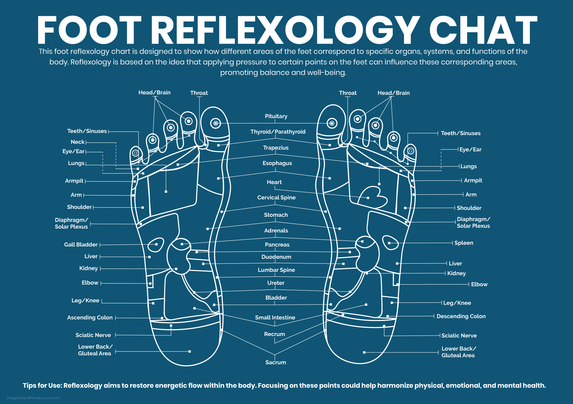 Printable Guide To Pressure Feet