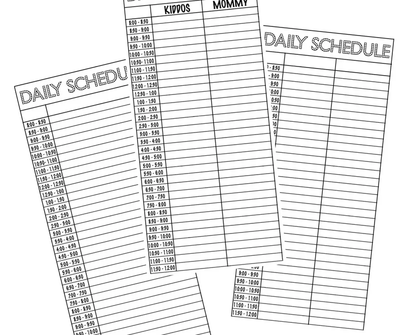 Daily Schedule Print On For Half Sheets Classic Size Happy Planner Fancy Plans Co