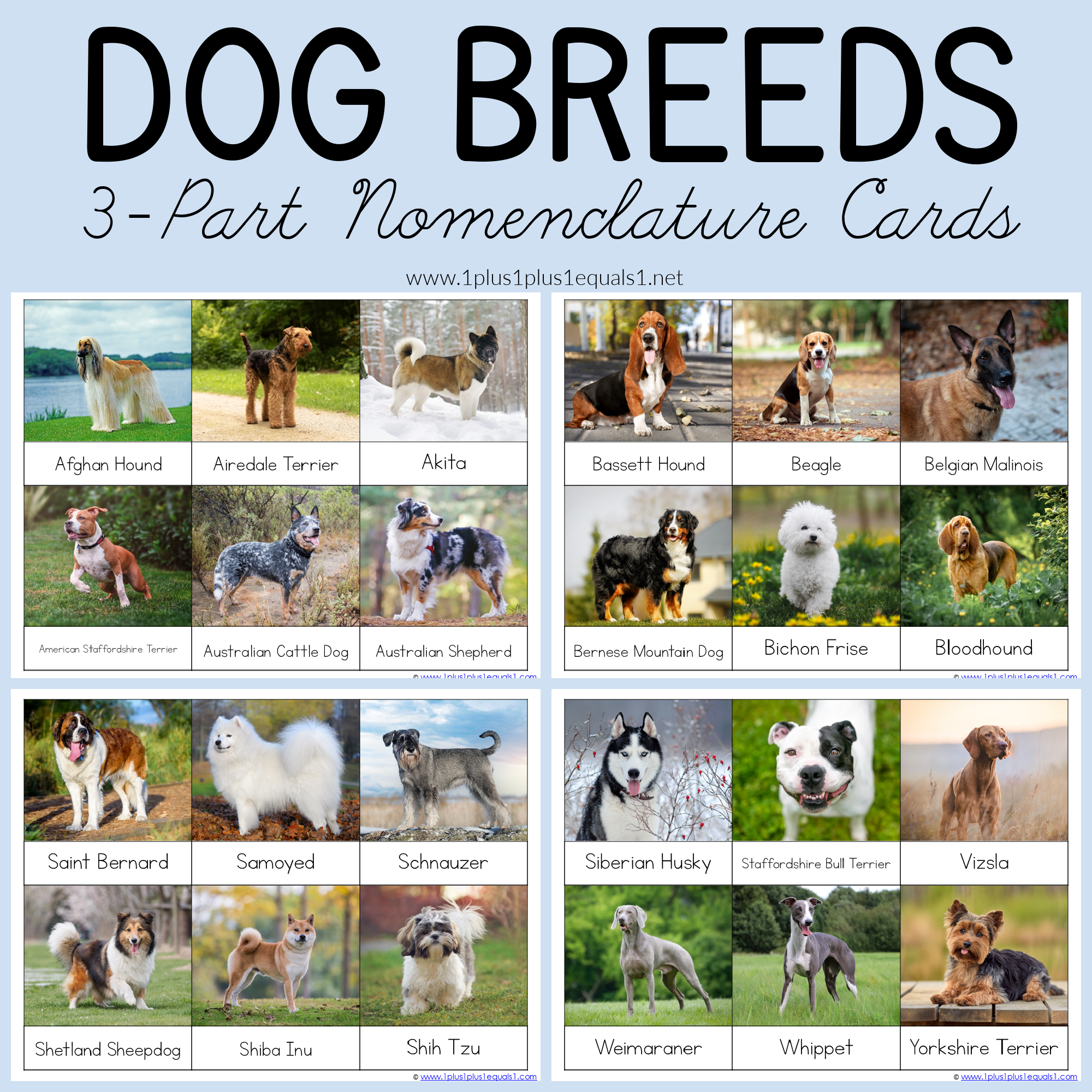 Printable Dog Name List