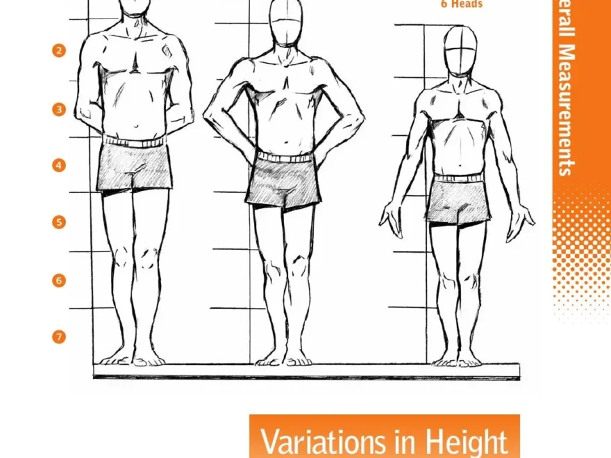 Figure It Out Human Proportions By Sixth amp Spring Books Issuu