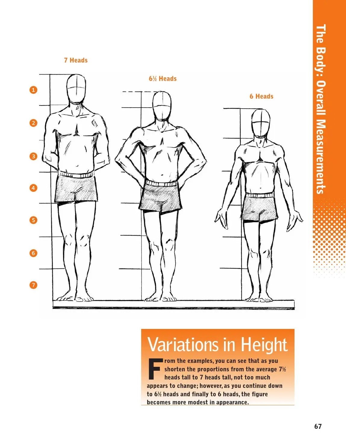 Figure It Out Human Proportions By Sixth amp Spring Books Issuu