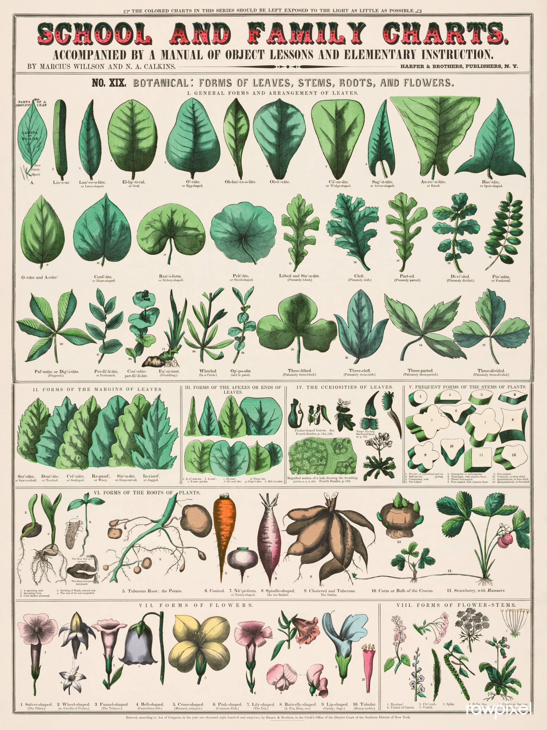 Printable Measurement Chart For Salver Printable Printable Measurement Chart For Salver Printable