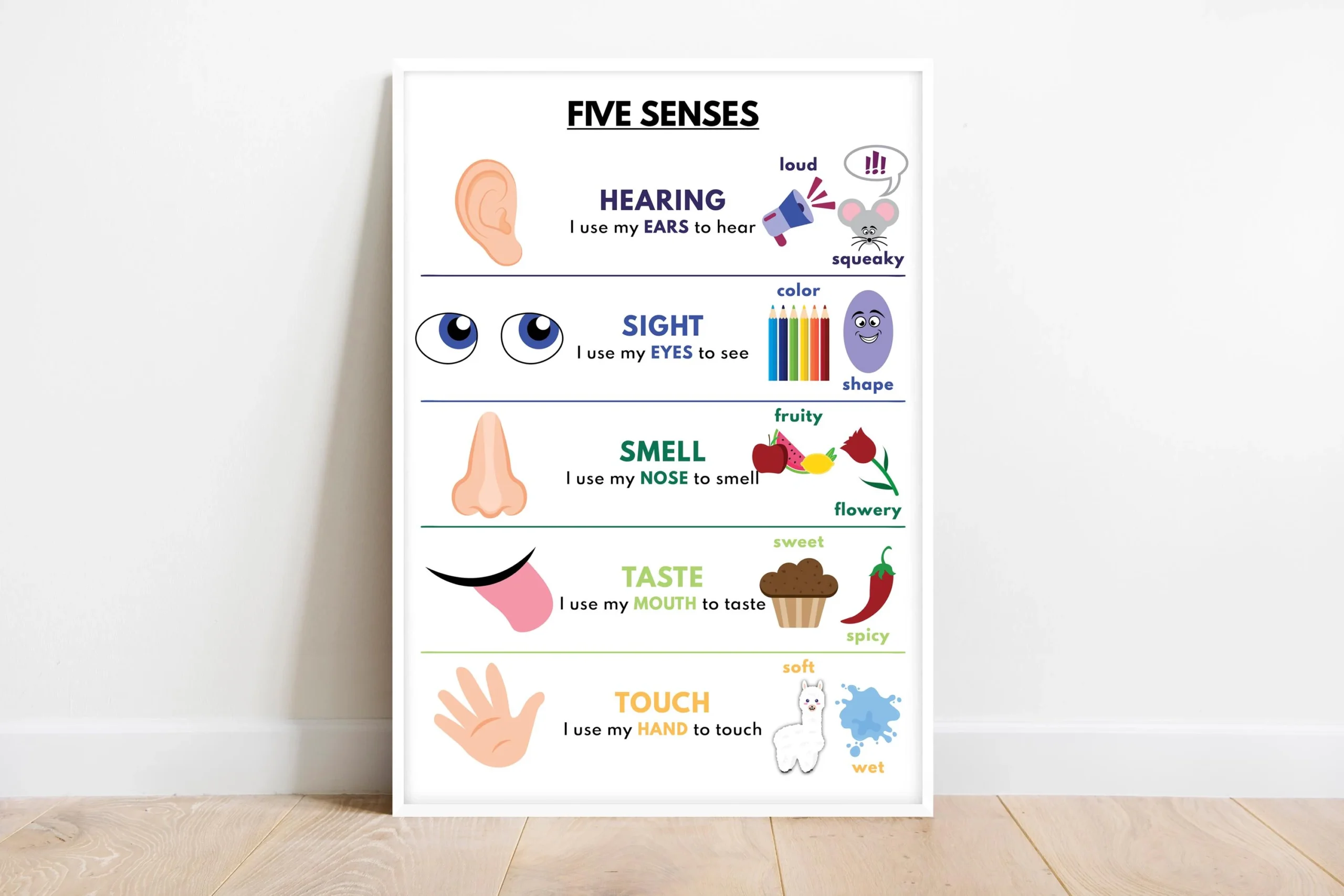 Five Senses Chart Printable 7th Grade