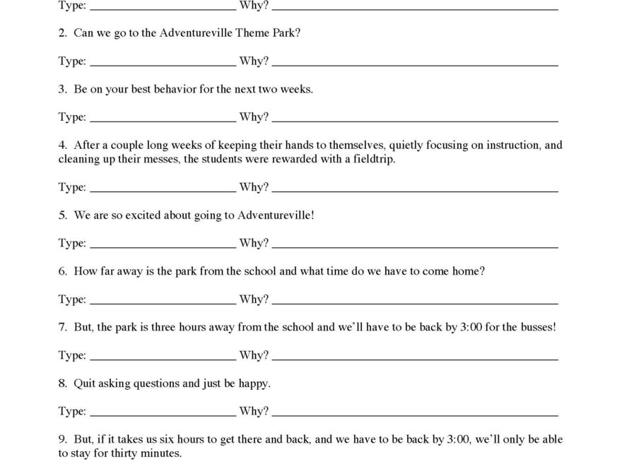 Four Types Of Sentences Worksheet Sentence Structure Activity