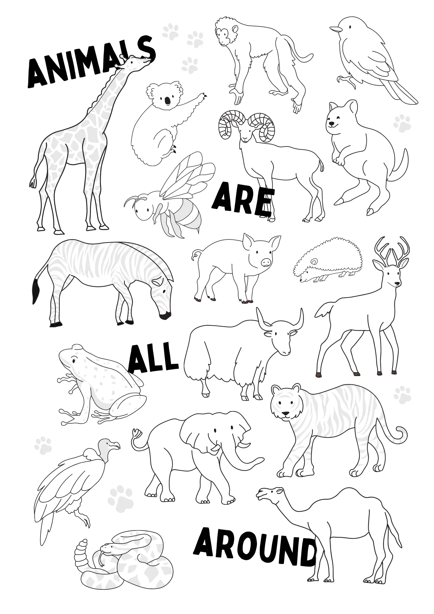 Animal Coloring Sheets Printable