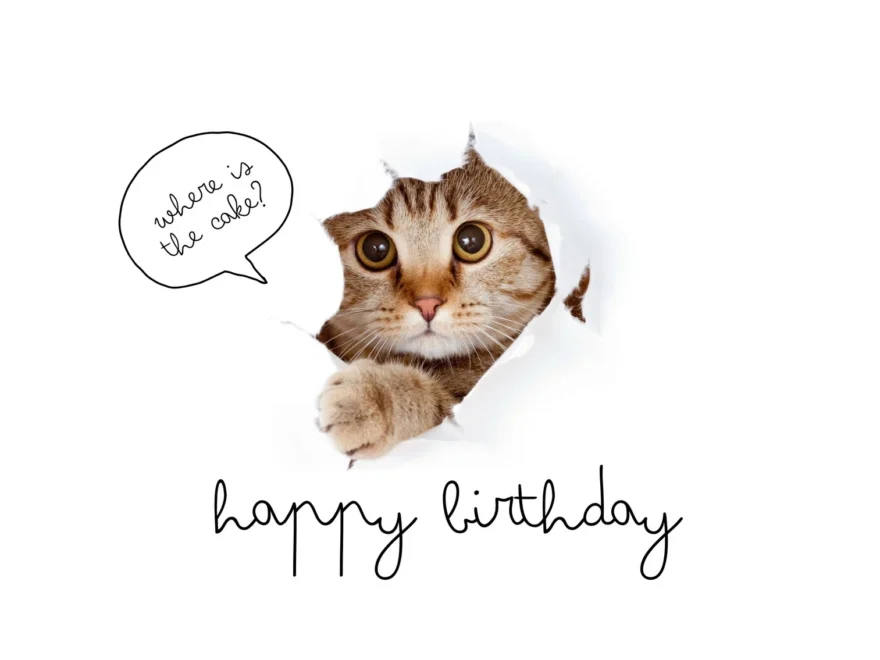 Free Printable Funny Birthday Card Templates Canva