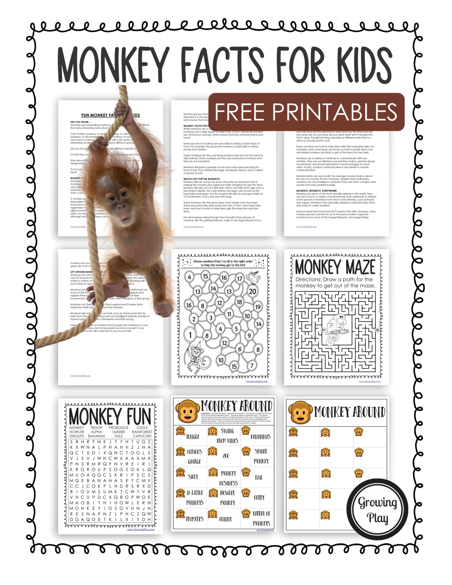Printable Animal Fact Sheets For Kids