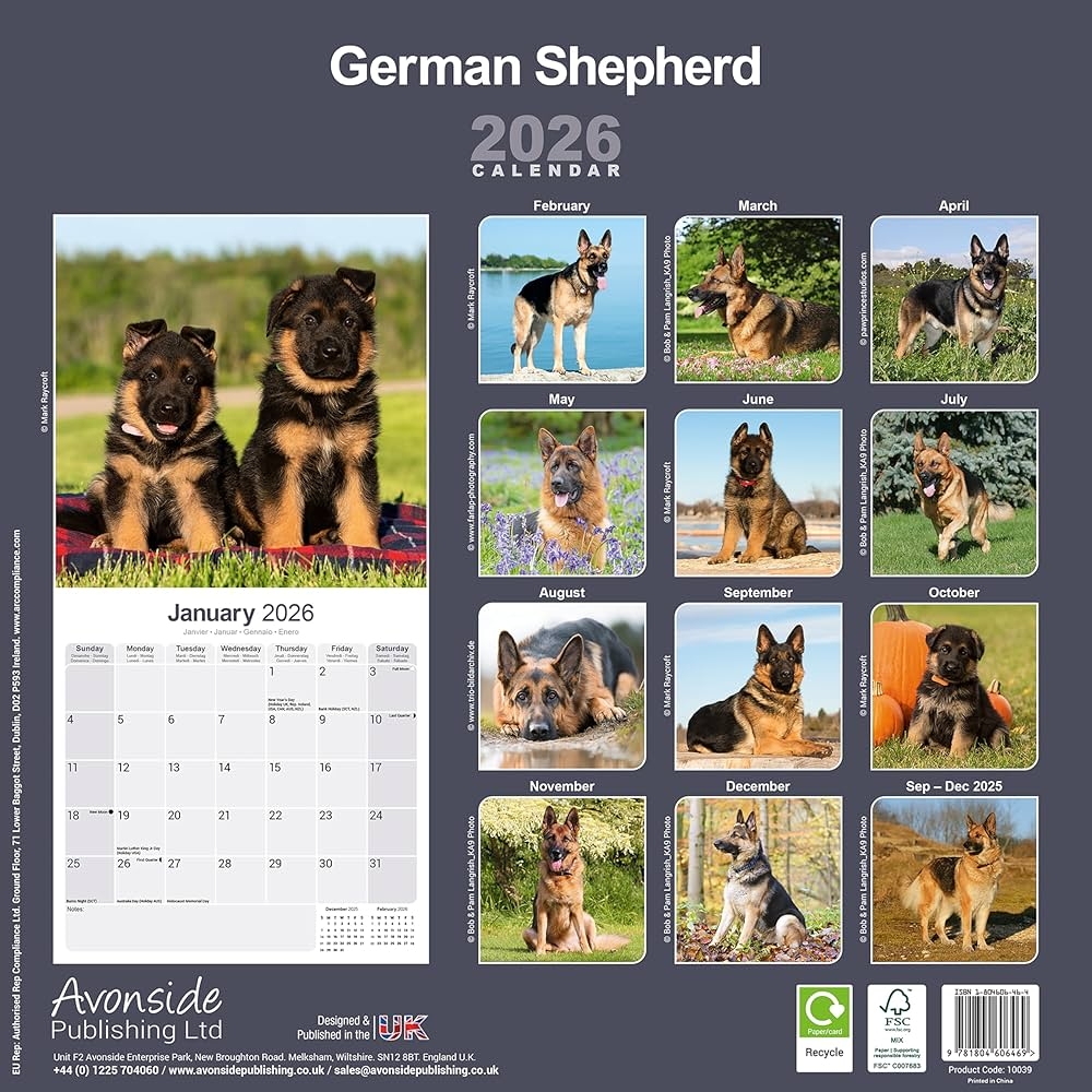 Printable 2026 Dog Breeding Chart