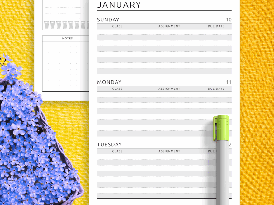 Get 2025 2026 Happy Planner Inserts Printable PDF