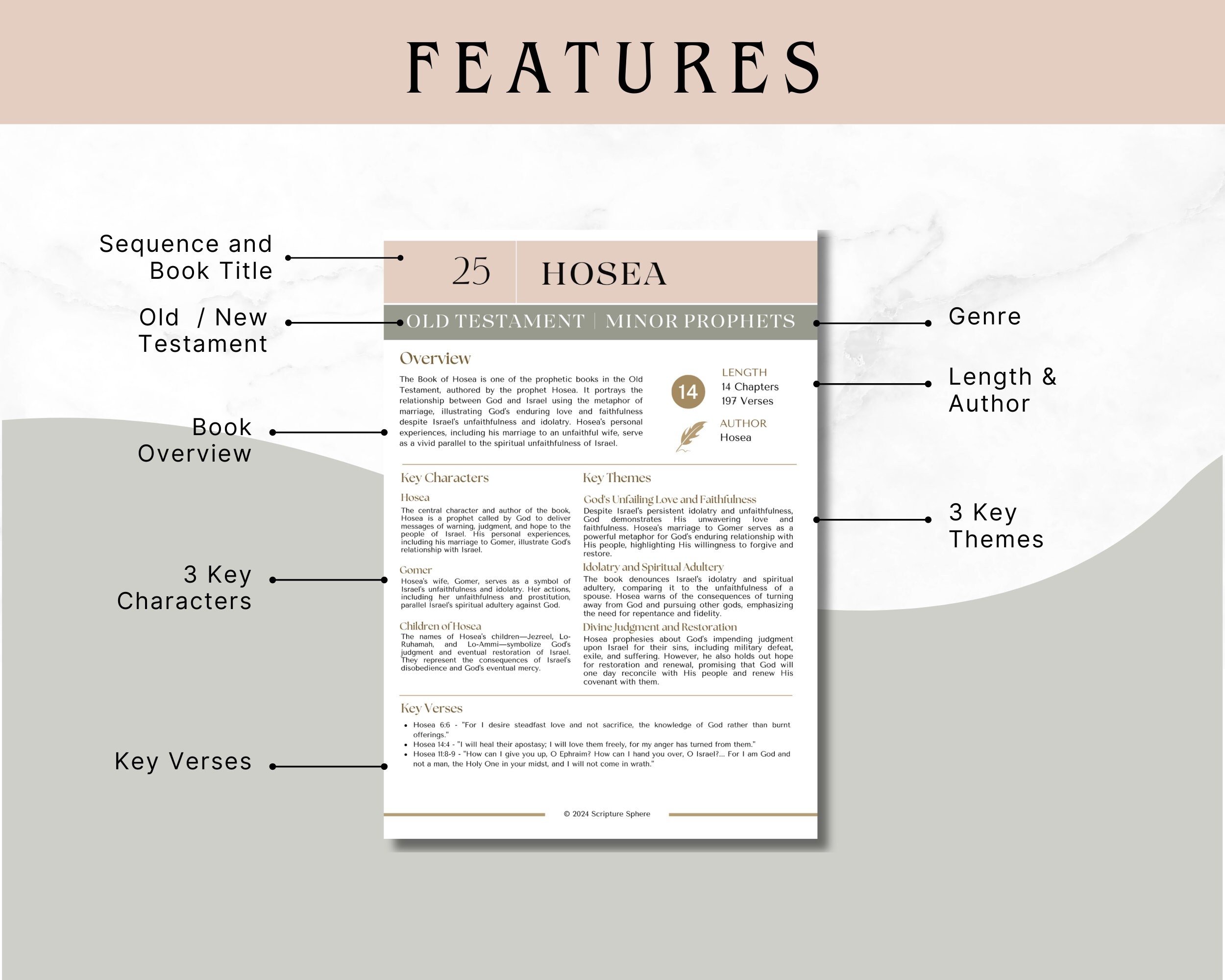 Printable Study Guide O Hosea