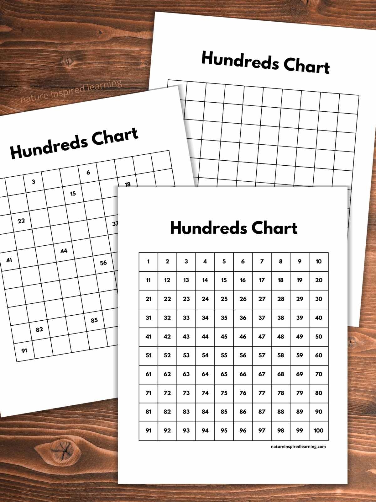 Free Printable Hundreds Chart Activities