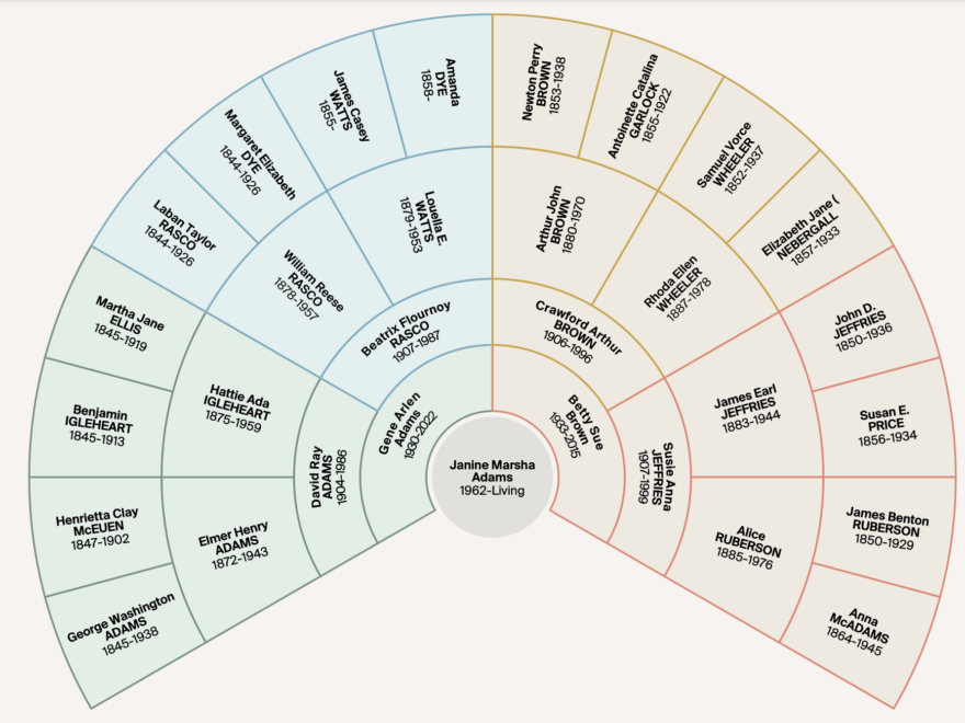 In Praise Of The Family Fan Chart Organize Your Family History