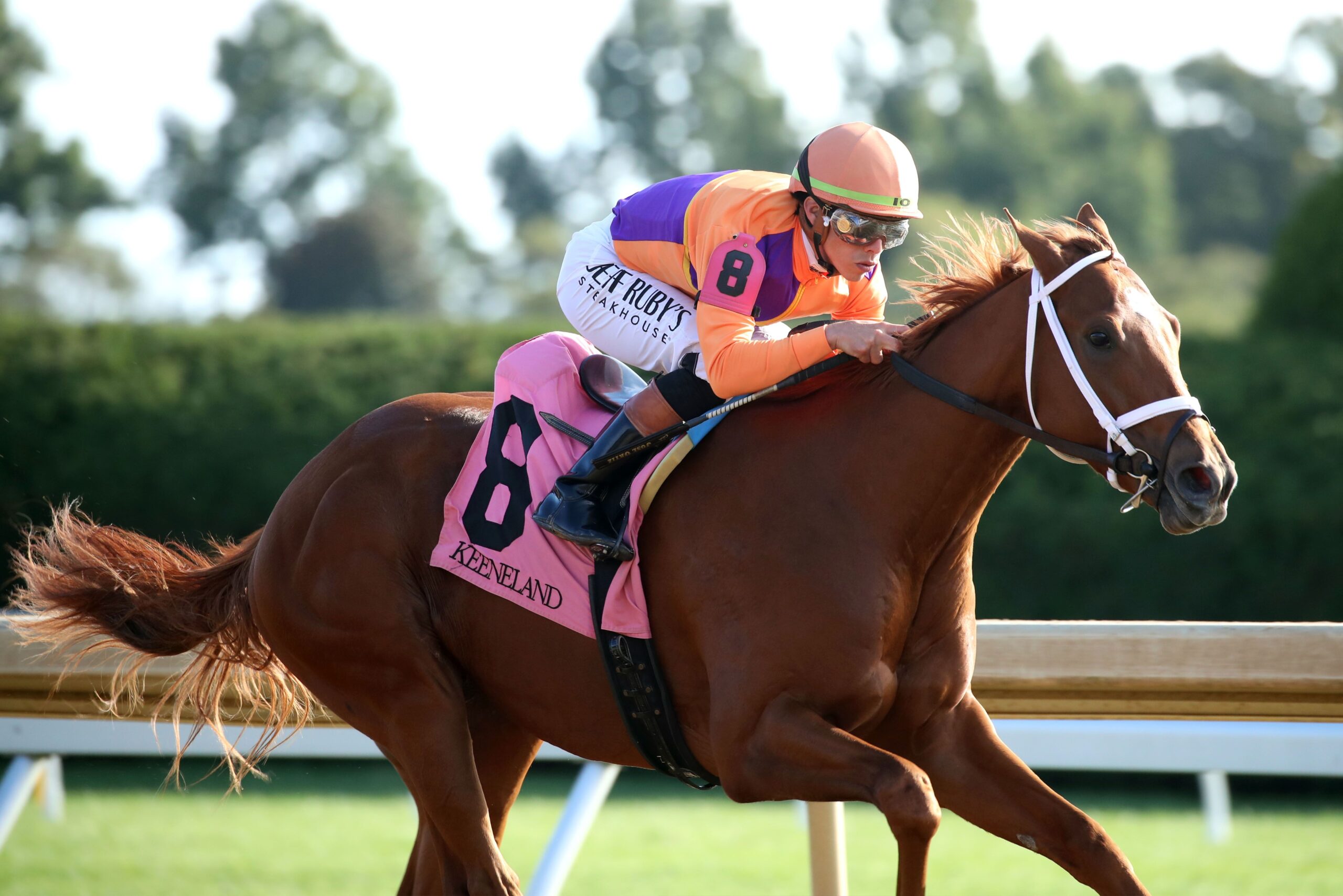 Printable 20 Derby Horse List 2026