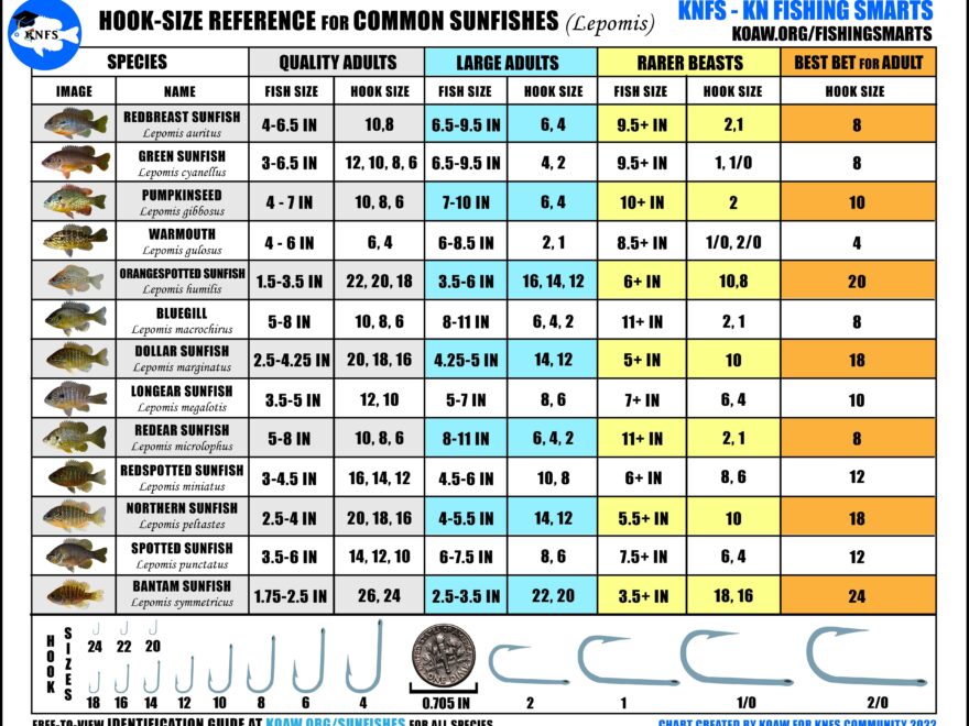 KNFS Free Hook Size Chart For Common Sunfishes Bluegill Longear Sunfish Green Sunfish Redear Sunfish And More Koaw Nature