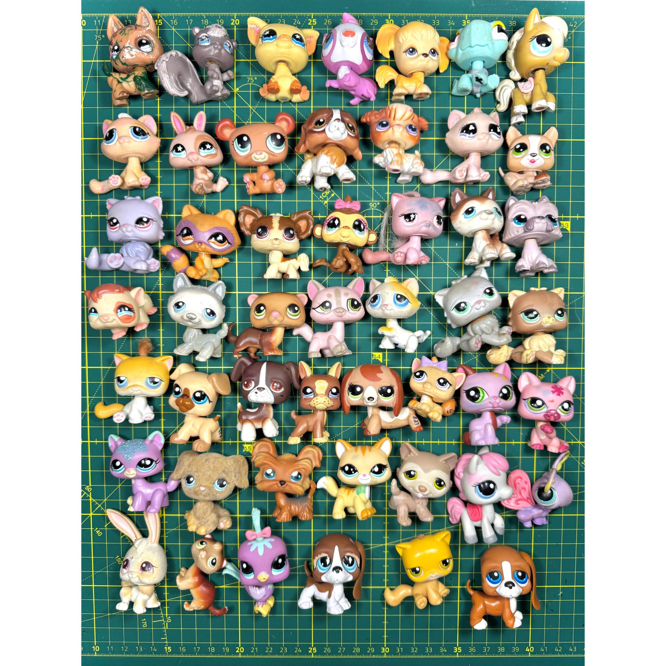 Lps Pawsome Tv Printables