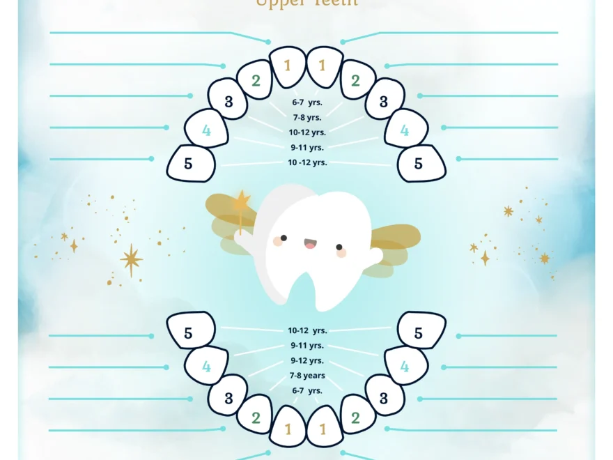 Lost Tooth Chart Printable Free