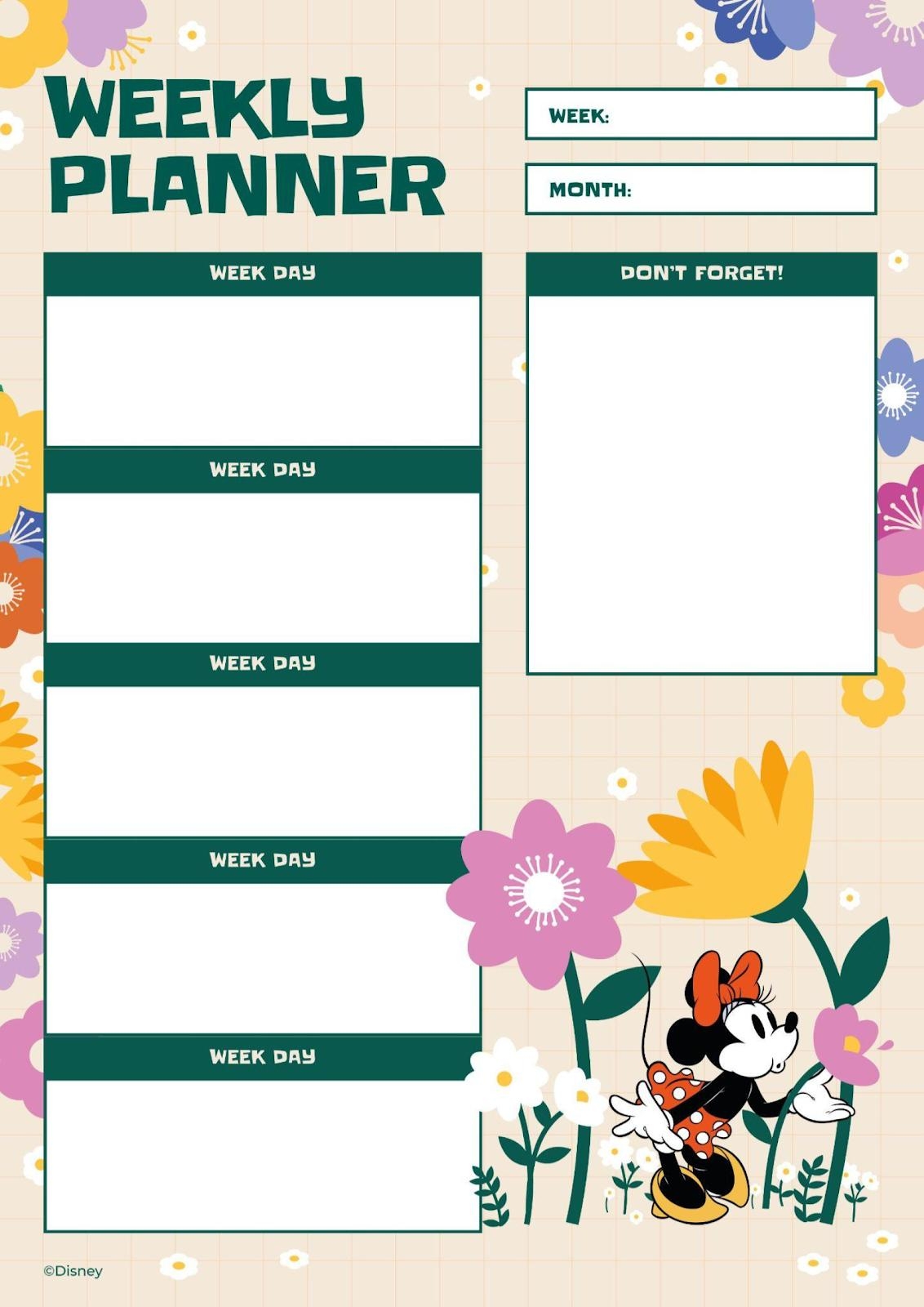 Minnie Weekly Planner Spring Planner Presentation