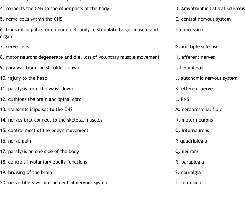 Nervous System Terms Quiz Worksheet WordMint