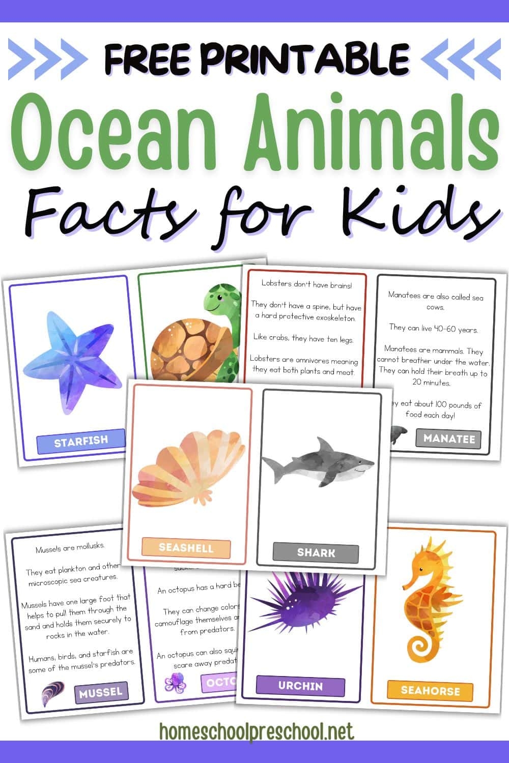Ocean Animals Facts For Kids Dive In Learn