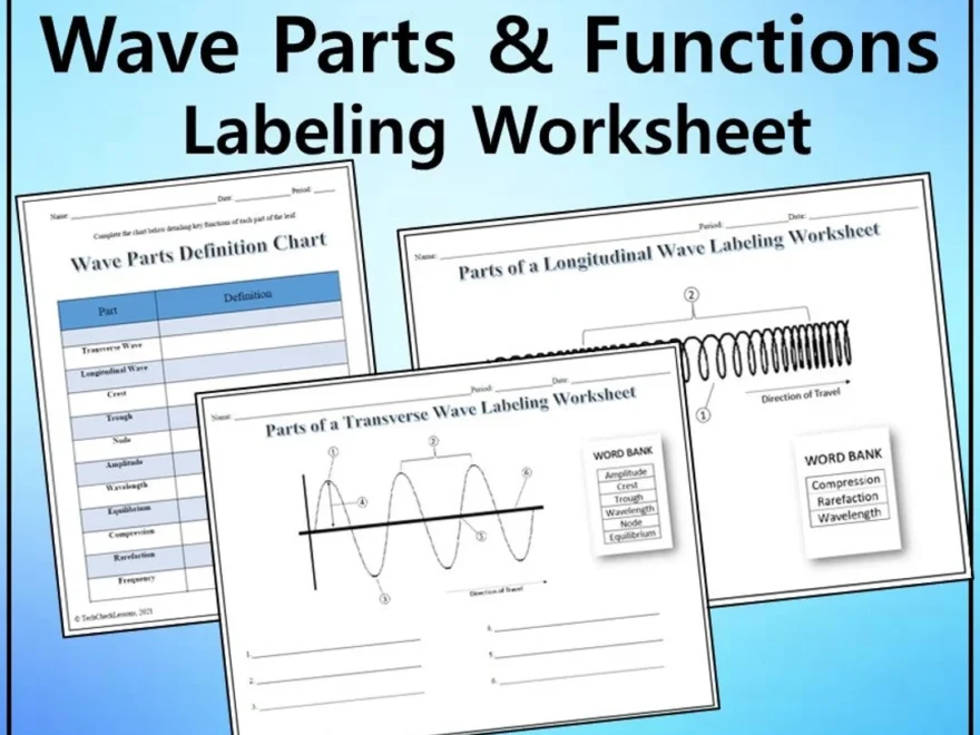 Parts Of A Wave Labeling Worksheet Science Editable DIGITAL DOWNLOAD Etsy
