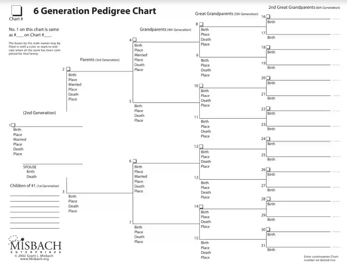Free Printable Genealogy Charts