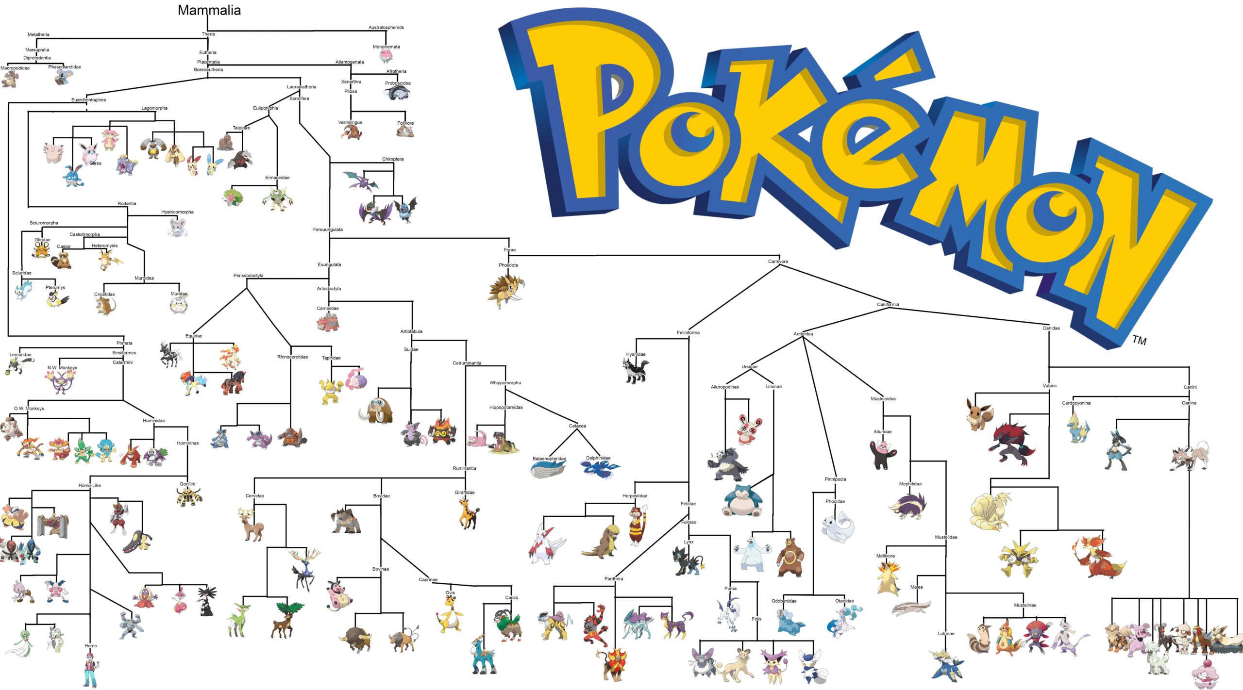 Pokemon Evolutions Chart