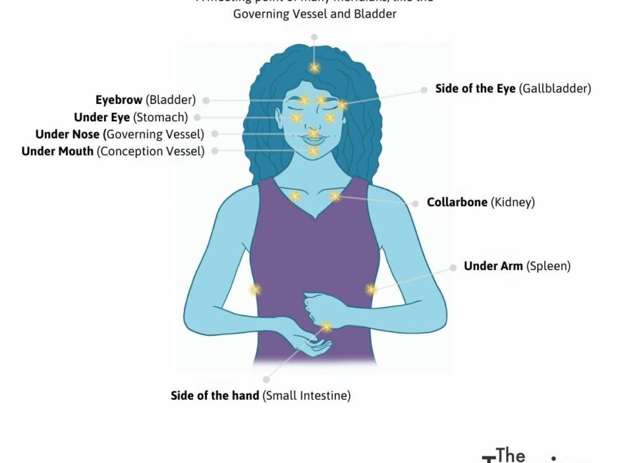 Printable 12 Meridians Chart Understanding Your Body s Energy