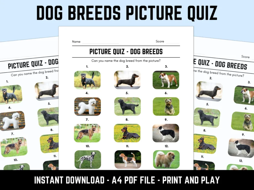 Printable Dog Breeds Picture Quiz With Answers Picture Round Quiz Sheets Pub Quiz Trivia Downloadable Table Quiz Fun Animals Quiz Etsy New Zealand