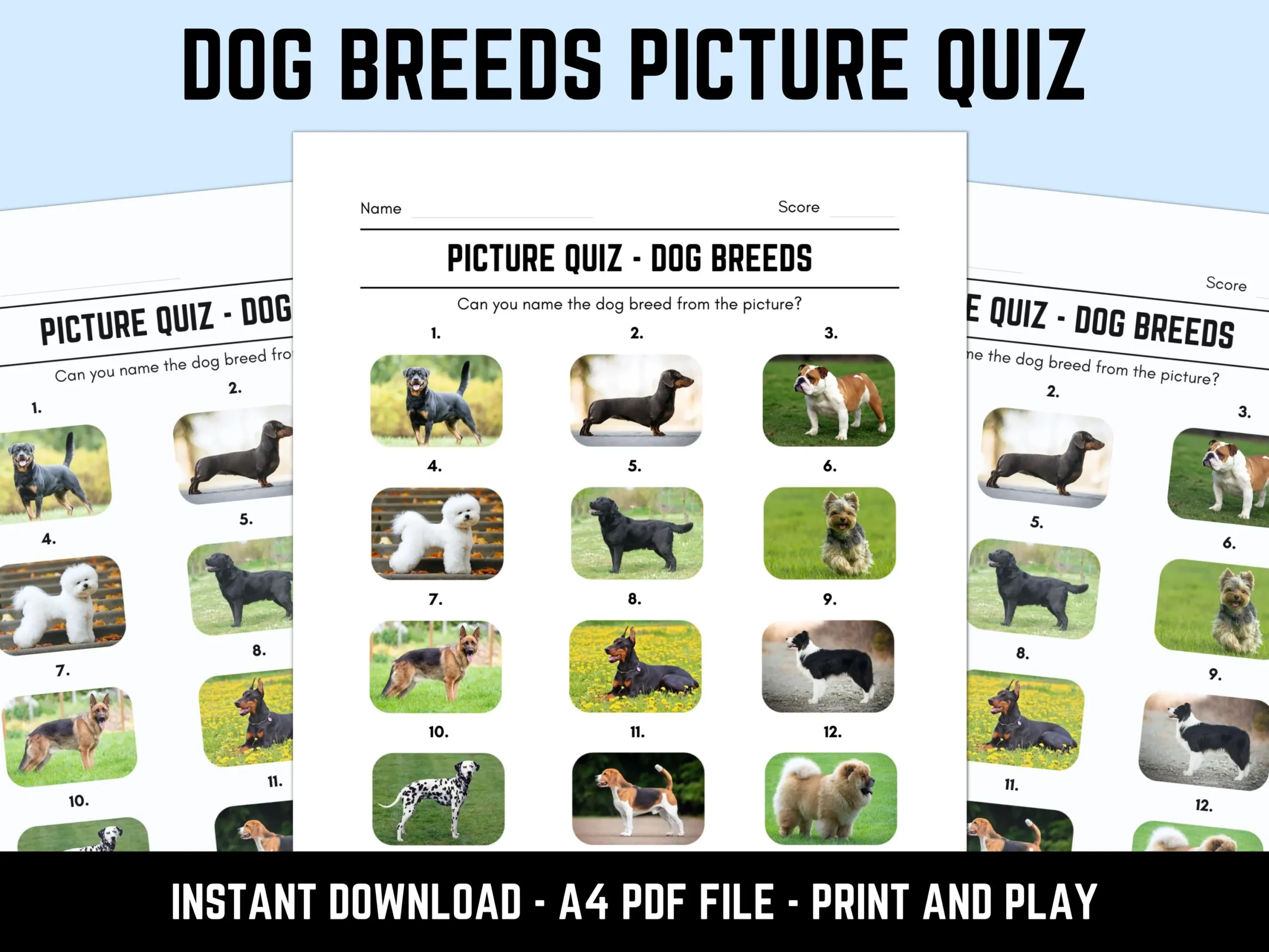 Printable Dog Breeds Picture Quiz With Answers Picture Round Quiz Sheets Pub Quiz Trivia Downloadable Table Quiz Fun Animals Quiz Etsy New Zealand