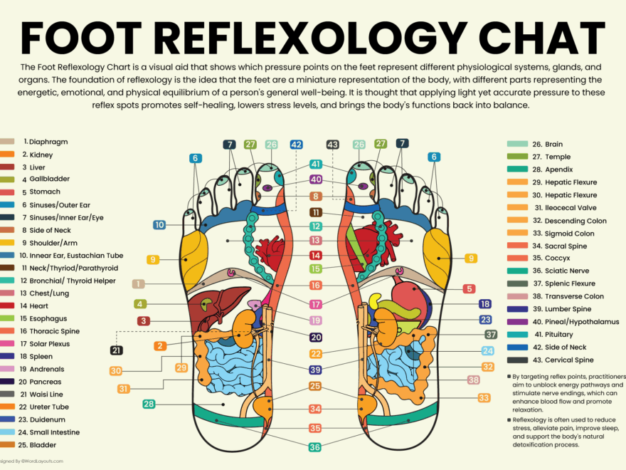 Printable Foot Reflexology Charts WordLayouts