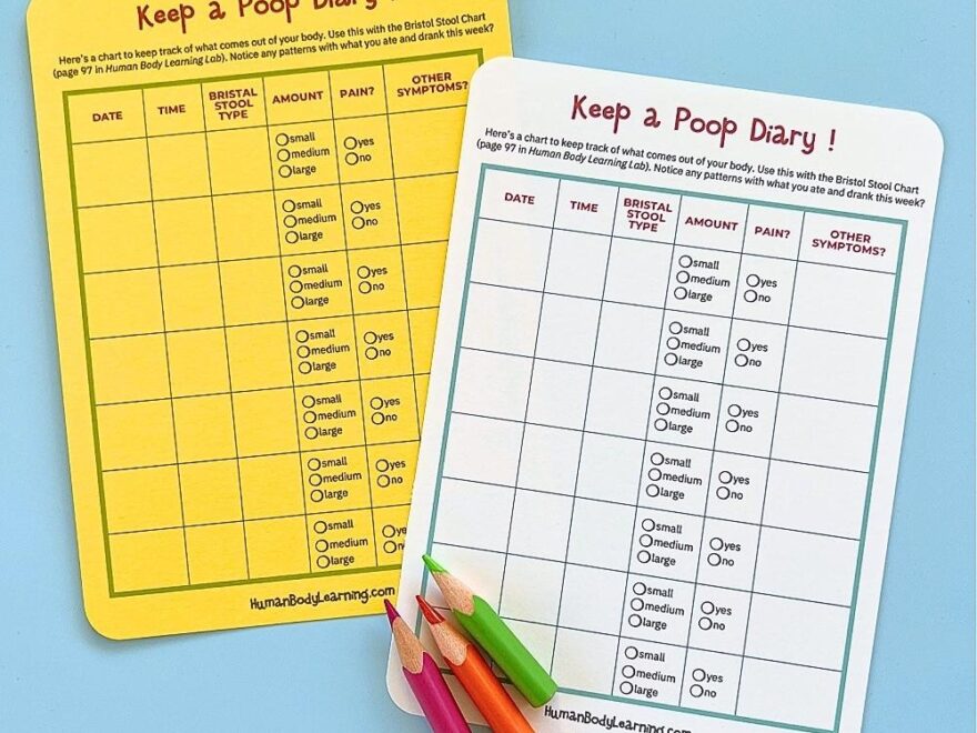 Printable Poop Diary And Bristol Stool Chart For Kids