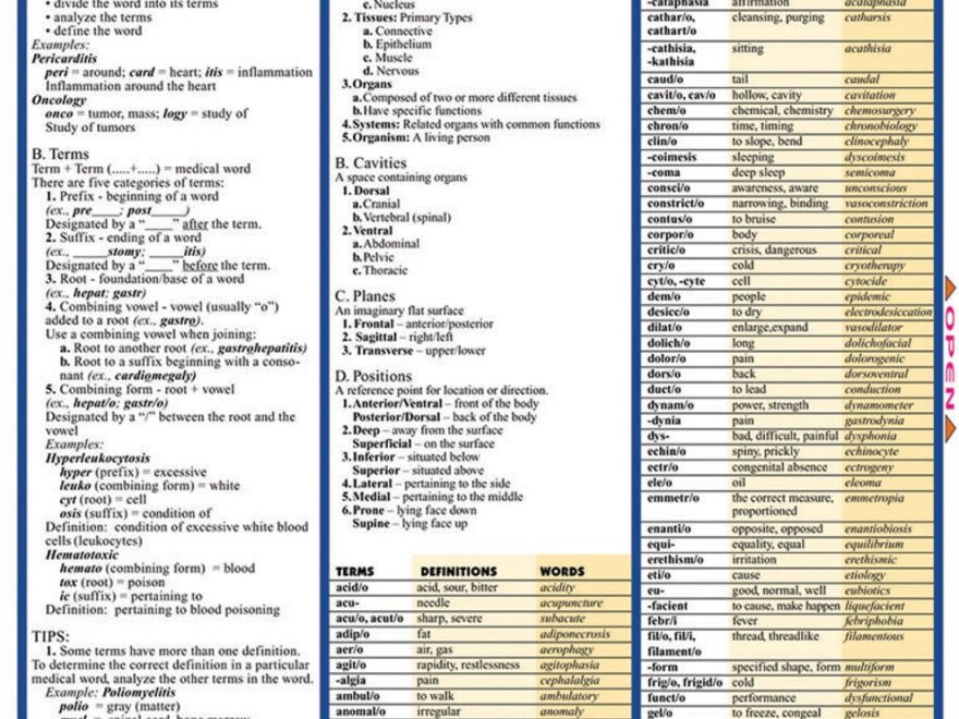 QuickStudy Medical Terminology The Basics Laminated Study Guide 9781572225381