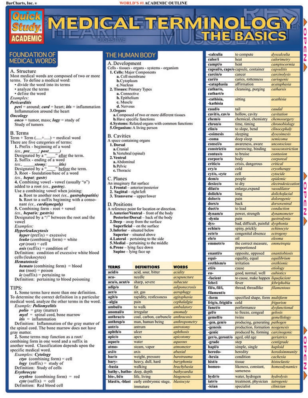 QuickStudy Medical Terminology The Basics Laminated Study Guide 9781572225381 